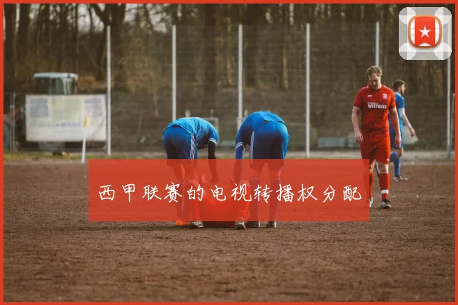 西甲联赛的电视转播权分配