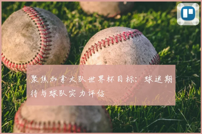 聚焦加拿大队世界杯目标：球迷期待与球队实力评估
