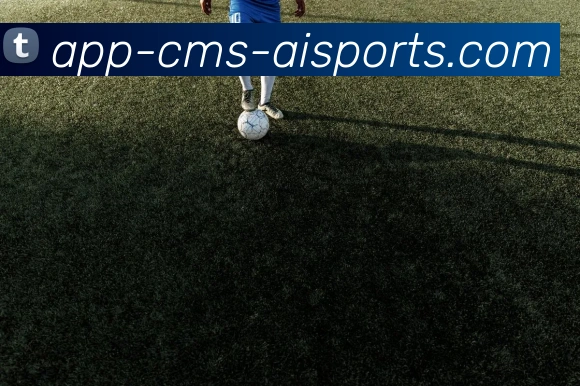 爱体育APP平台生态图